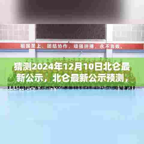 北仑最新公示预测揭秘，掌握预测公示技能的步骤与解析