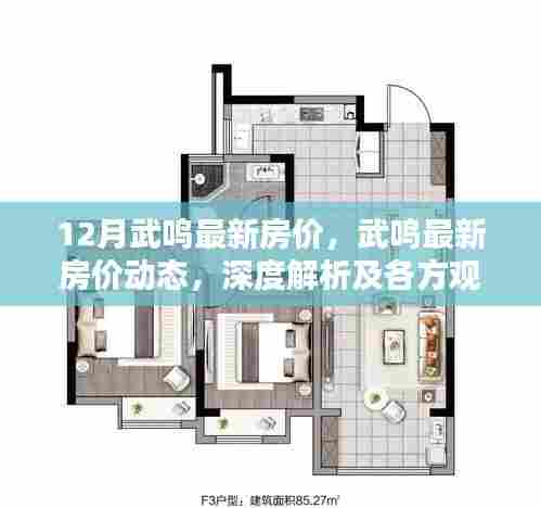 武鸣最新房价动态深度解析,12月房价走势与各方观点探讨