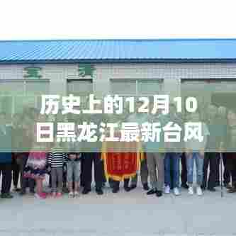 揭秘黑龙江历史上的特殊日子,罕见台风侵袭十二月十日纪实