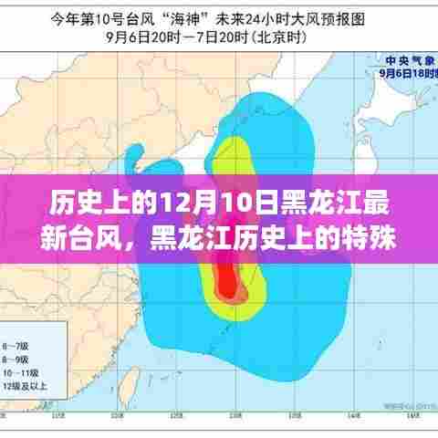 揭秘黑龙江历史上的特殊日子，罕见台风侵袭十二月十日纪实