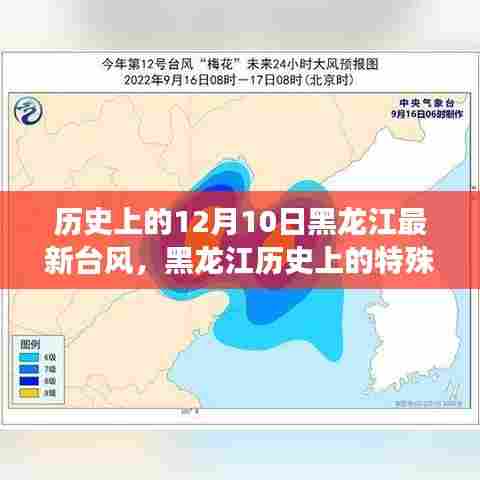 揭秘黑龙江历史上的特殊日子,罕见台风侵袭十二月十日纪实