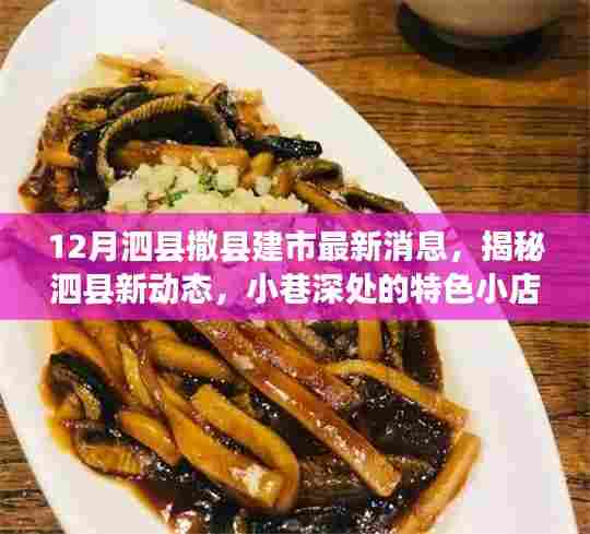 揭秘泗县撤县建市最新动态,小巷特色小店与城市建设进展