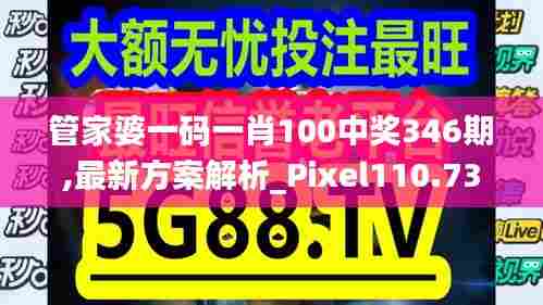 管家婆一码一肖100中奖346期,最新方案解析_Pixel110.735