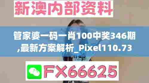 管家婆一码一肖100中奖346期,最新方案解析_Pixel110.735