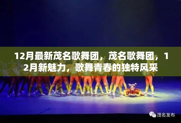 茂名歌舞团,青春风采展现新魅力