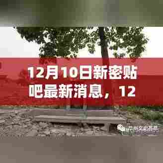 12月10日新密贴吧最新消息获取全攻略，教你成为消息达人