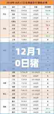 12月10日全国猪价格最新行情分析与报价汇总