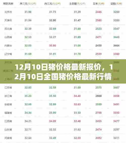 12月10日全国猪价格最新行情分析与报价汇总