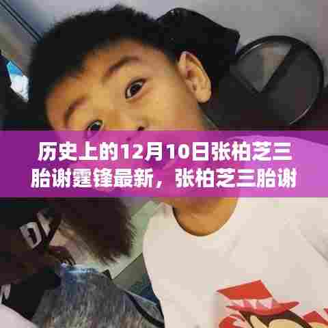 张柏芝三胎谢霆锋与科技焦点,未来高科技产品重塑生活体验