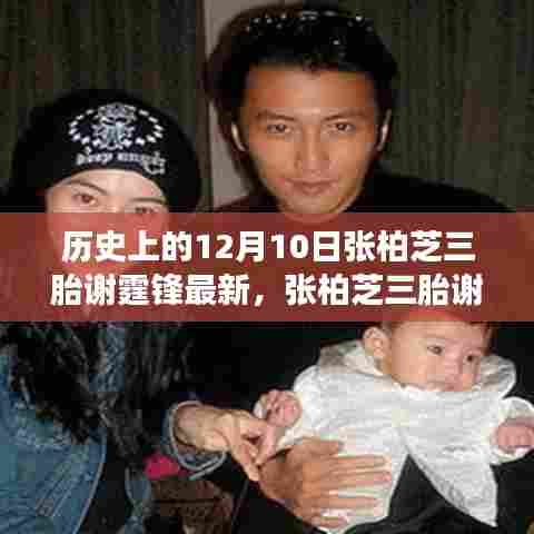 张柏芝三胎谢霆锋与科技焦点,未来高科技产品重塑生活体验