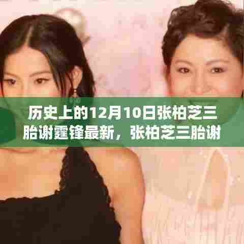 张柏芝三胎谢霆锋与科技焦点,未来高科技产品重塑生活体验