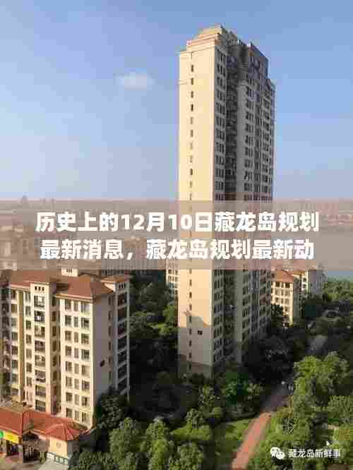 历史上的12月10日藏龙岛规划动态，最新发展解读与最新消息速递