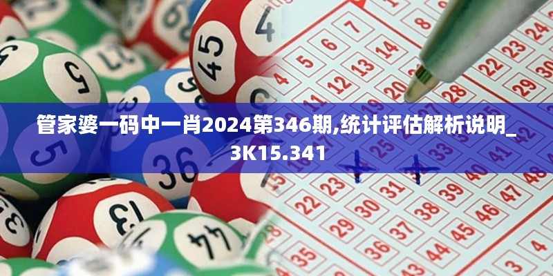 管家婆一码中一肖2024第346期,统计评估解析说明_3K15.341