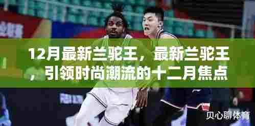 时尚焦点,最新兰驼王引领十二月潮流风潮