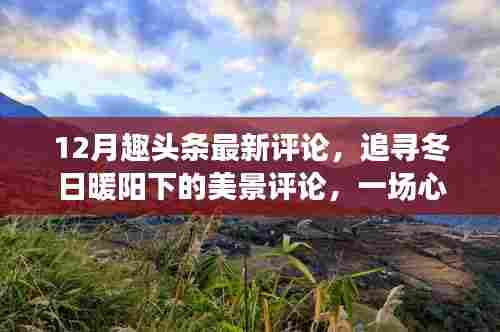 冬日暖阳下的美景评论与心灵旅行盛宴,趣头条最新评论盘点