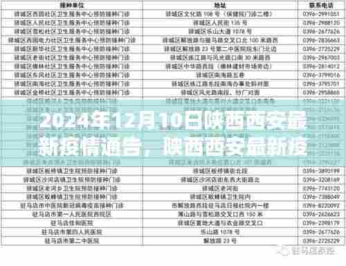 陕西西安最新疫情通告，分析与观点阐述（日期更新至2024年）