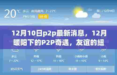 12月暖阳下的P2P最新动态,友谊与家的温馨奇遇