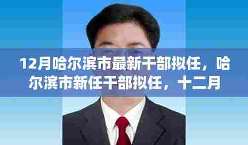 哈尔滨市十二月干部拟任新动态,风云际会下的时代篇章