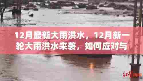 小红书教你应对与防范,12月新一轮大雨洪水来袭!