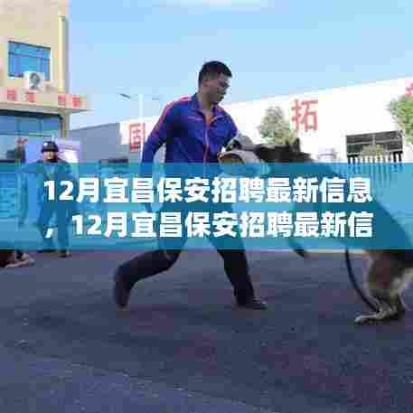 12月宜昌保安招聘最新信息及深度评测介绍