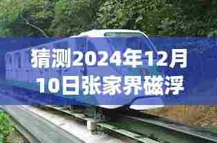 张家界磁浮项目深度进展解析与最新消息预测，2024年12月10日全方位评测报告
