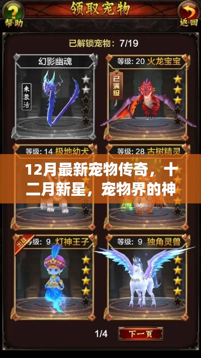 萌宠闪耀十二月，最新宠物传奇与神奇传说