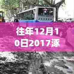 涿州最新限号通知发布,出行必备攻略!