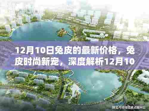 兔皮时尚新宠,深度解析最新价格及使用体验