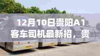 贵阳A1客车司机招聘指南，如何成功应聘公交集团A1司机职位？