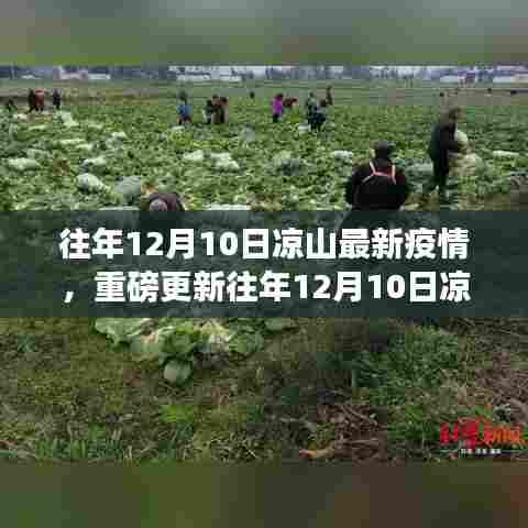关注健康行动,往年12月10日凉山最新疫情动态重磅更新