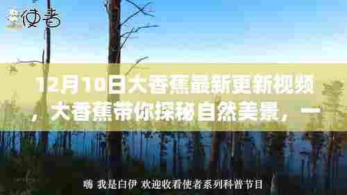 大香蕉带你领略自然美景，远离尘嚣的心灵之旅最新视频更新