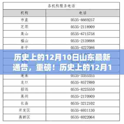 老死不相往来 第4页