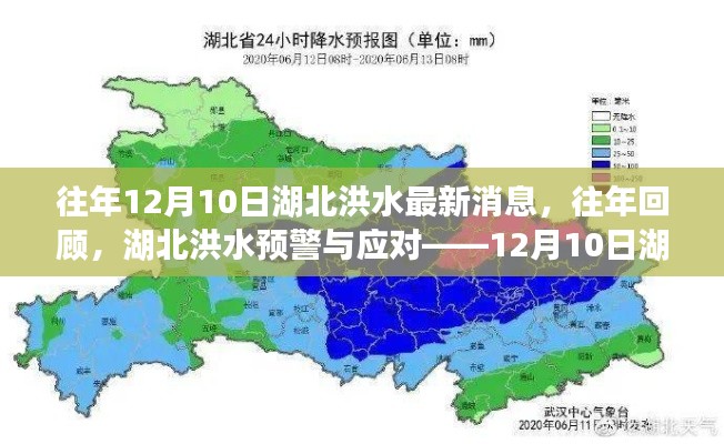 湖北洪水最新消息回顾与预警应对,历年湖北洪水情况分析报告——以历年为例的洪水应对与预警策略