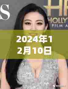 范冰冰巨星之光,闪耀2024年12月的新篇章揭秘