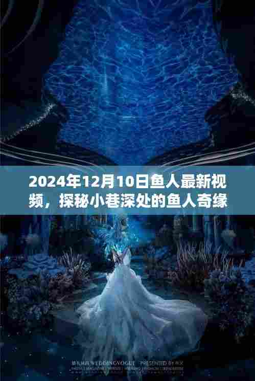 探秘小巷深处的鱼人奇缘,最新视频揭秘,2024年独家报道