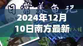 探秘南方小巷深处的宝藏,巷尾之韵特色小店——南方新产业之星2024年12月10日最新报道
