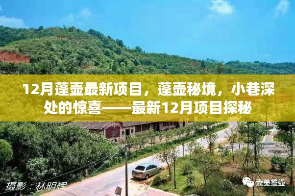 最新探秘，蓬壶秘境——十二月项目惊喜亮相
