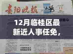 临桂区十二月人事任免背后的故事,最新任免动态与日常温馨回顾