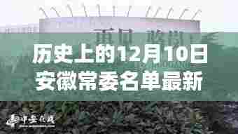 揭秘历史变迁，安徽常委名单最新动态揭秘，12月10日一览