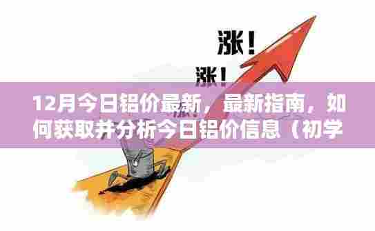 最新铝价指南,如何获取并分析今日铝价信息,适合初学者与进阶用户