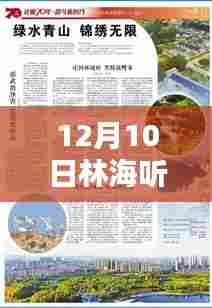 12月10日林海听涛最新作品深度解析与赏析