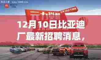比亚迪创新科技盛宴,最新招聘消息与高科技产品深度体验日