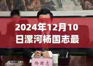 独家解析,杨国志品牌漯河产品在最新评测中的表现与洞察——2024年12月10日最新消息