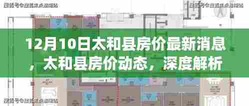 太和县房价最新动态及深度解析市场趋势（12月10日更新）