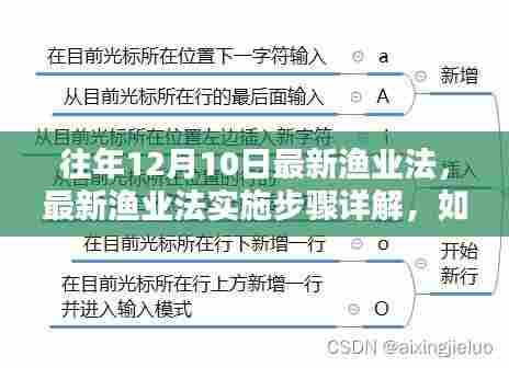 最新渔业法解读,实施步骤详解与顺利适应执行指南