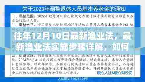 最新渔业法解读,实施步骤详解与顺利适应执行指南