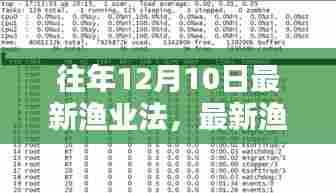 最新渔业法解读,实施步骤详解与顺利适应执行指南
