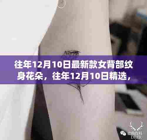 精选女背部纹身花朵新风尚,往年12月10日流行趋势回顾