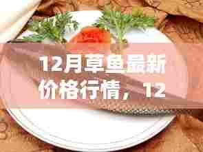 12月草鱼最新价格行情深度解析与介绍
