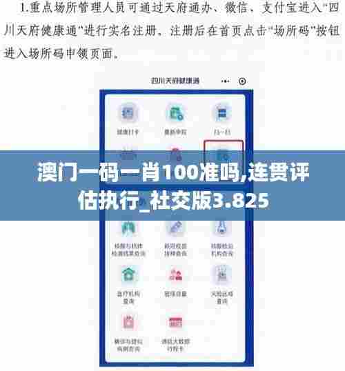 澳门一码一肖100准吗,连贯评估执行_社交版3.825